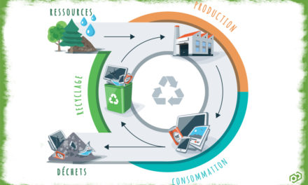 Economie circulaire : pour rendre le zéro déchet possible